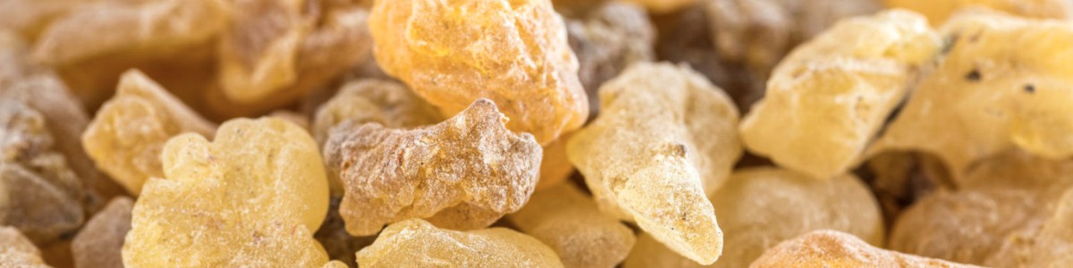 Frankincense 1200x300